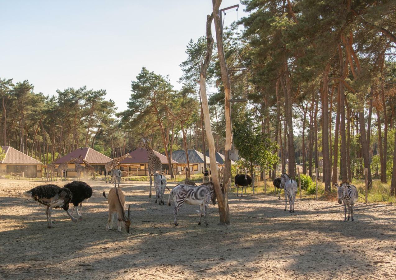 Safari Resort Beekse Bergen Hilvarenbeek Exterior photo